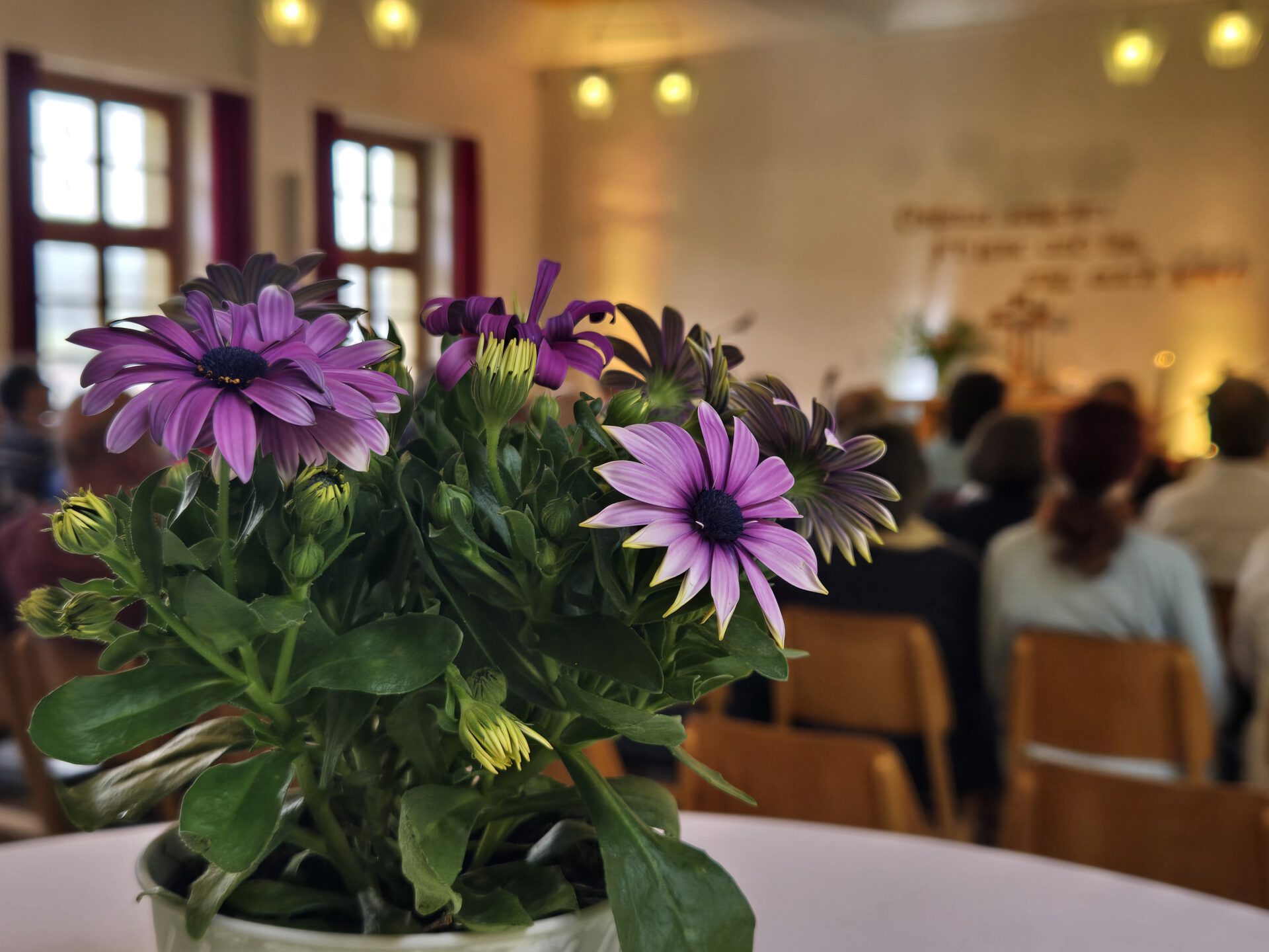 4. Friedensfest 2026 - Kurort Rathen