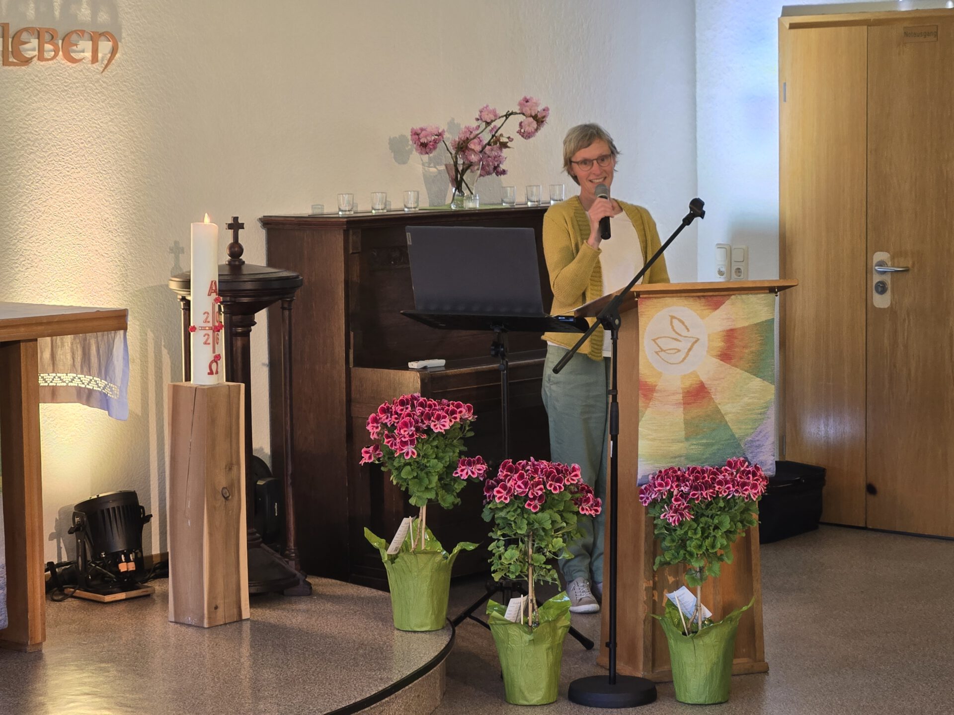 4. Friedensfest 2026 - Kurort Rathen